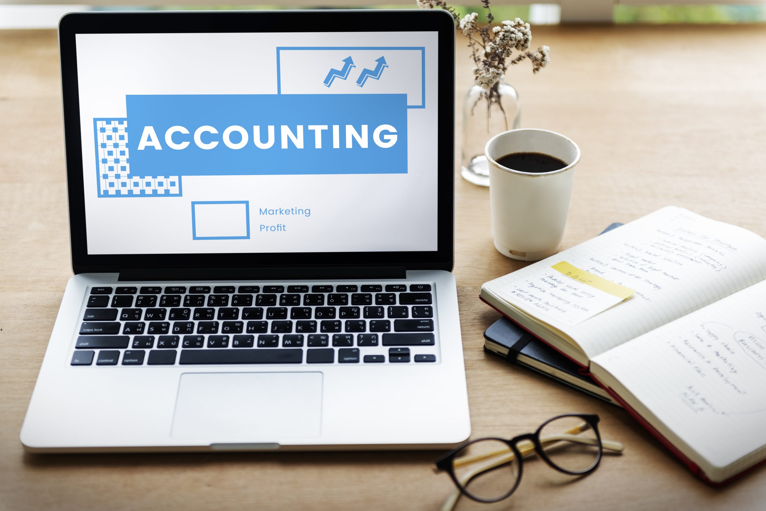 Master Your Career With The Best Tally Account Course in Chandigarh
